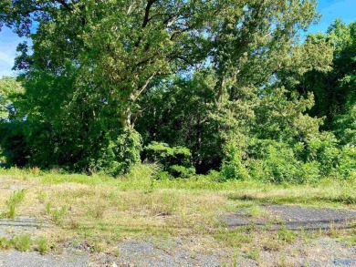 Lake Guntersville Lot For Sale in Guntersville Alabama