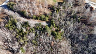 Enjoy the lake life with this private 1.2756 acre cul-de-sac lot - photo 11