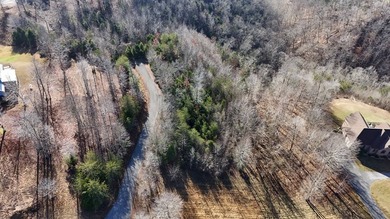 Enjoy the lake life with this private 1.2756 acre cul-de-sac lot - photo 12