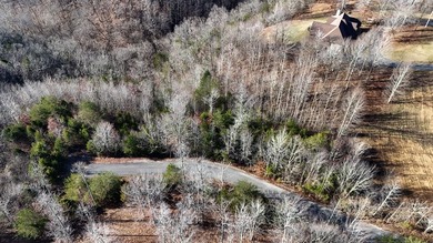 Enjoy the lake life with this private 1.2756 acre cul-de-sac lot - photo 14