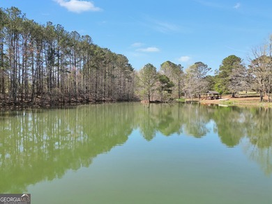 Welcome to an extraordinary private estate in Lamar County - photo 16