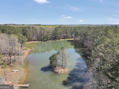 Welcome to an extraordinary private estate in Lamar County - photo 17