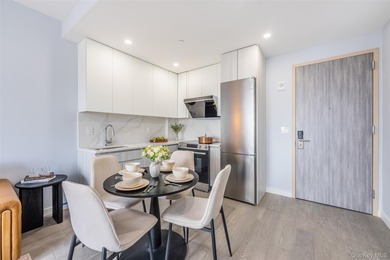 The Luxe Living Condominium is Flushing's newest luxury