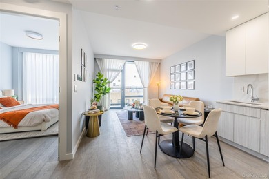 The Luxe Living Condominium is Flushing's newest luxury