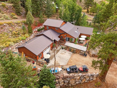 Panguitch Lake Home For Sale in Panguitch Utah