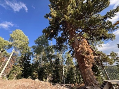 Mirror Lake Lot For Sale in Beaver Utah