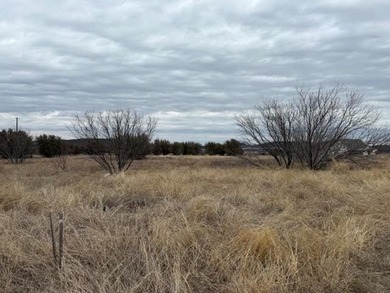 Possum Kingdom Lake Lot For Sale in Graford Texas