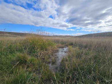 (private lake, pond, creek) Acreage For Sale in Lenore Idaho