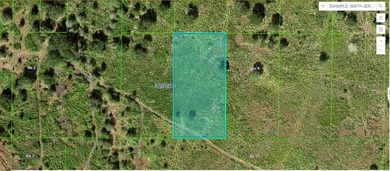 Reedy Lake Lot For Sale in Frostproof Florida