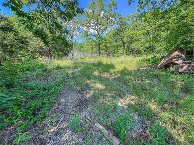 COME LIVE AT THE LAKE!!! This piece of land is close to ready - photo 11