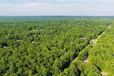 COME LIVE AT THE LAKE!!! This piece of land is close to ready - photo 13