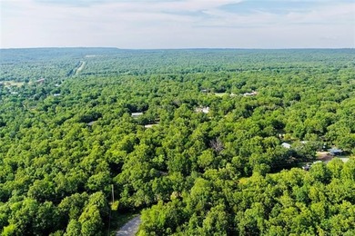 COME LIVE AT THE LAKE!!! This piece of land is close to ready - photo 14