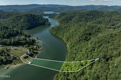 LUXURY LAKEFRONT RETREAT ON WATAUGA LAKE!! Welcome to the - photo 24