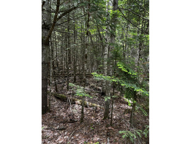 Enjoy lakefront on Sebasticook Lake at an affordable price with - photo 3