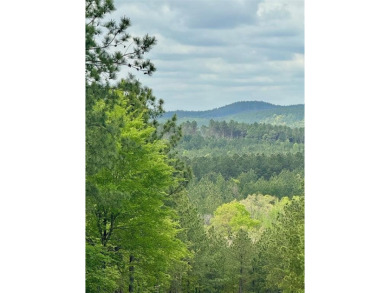 Lake Lot For Sale in Broken Bow, Oklahoma
