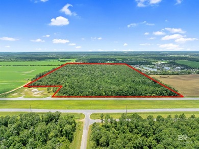 Discover an exceptional opportunity with over 68 acres of land - photo 1