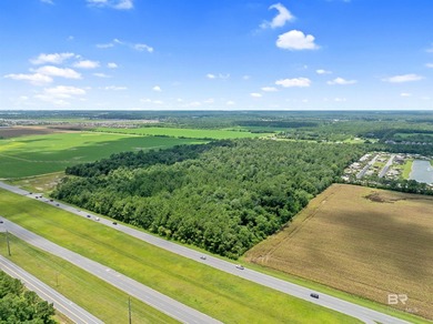 Discover an exceptional opportunity with over 68 acres of land - photo 3