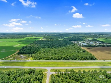 Discover an exceptional opportunity with over 68 acres of land - photo 5