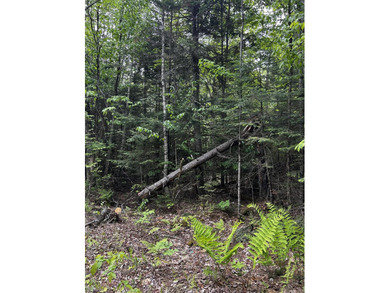 Enjoy lakefront on Sebasticook Lake at an affordable price with - photo 4