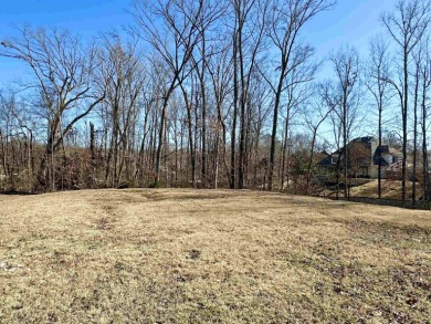 Lake Lot For Sale in Lakeland, Tennessee