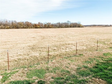 DO NOT GO TO THE FARM!!!! By appointment only!!!! 6 house - photo 12