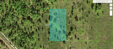 Reedy Lake Lot For Sale in Frostproof Florida