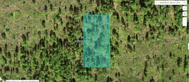 Reedy Lake Lot For Sale in Frostproof Florida