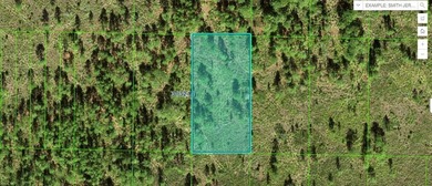 Reedy Lake Lot For Sale in Frostproof Florida
