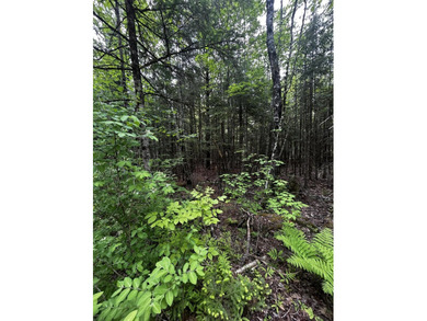 Enjoy lakefront on Sebasticook Lake at an affordable price with - photo 3