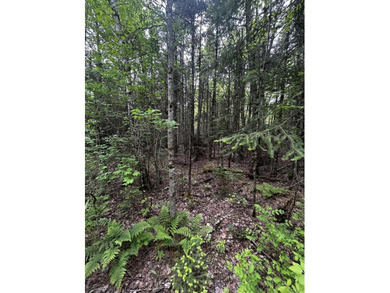 Enjoy lakefront on Sebasticook Lake at an affordable price with - photo 4