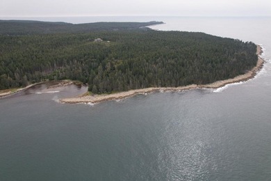 Large bold oceanfront parcel on the west facing shore of - photo 6