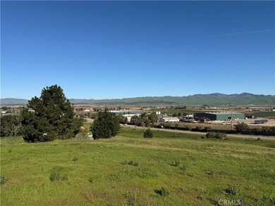 2075 Cambridge Way - photo 37