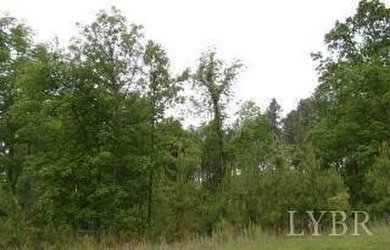 What a great place to call home !! level mostly , mostly wooded - photo 3
