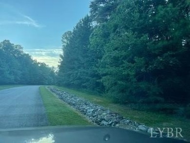 What a great place to call home !! level mostly , mostly wooded - photo 4