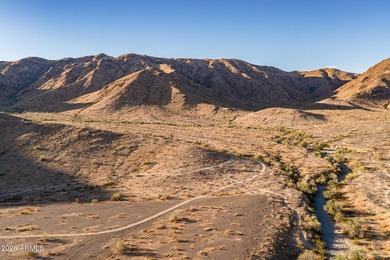 Nestled in the Ahwatukee Foothills, this 5 bedroom + office home - photo 56