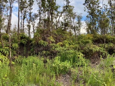 THE RAINFOREST OF UPPER PUNA HAWAII BIG ISLAND BECKONS YOU TO - photo 3