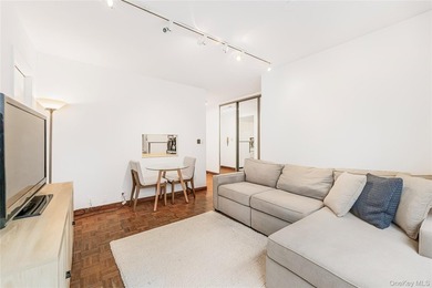 Bright, South-Facing Junior One-Bedroom in Prime Sutton Place - photo 12
