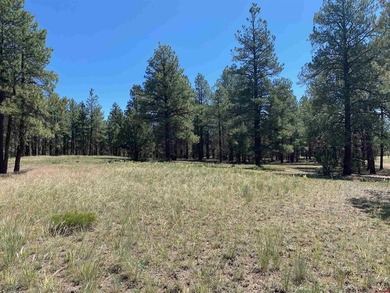 Juli Morelock, Galles Properties, C:,,: 344.6 acres in Downtown - photo 13