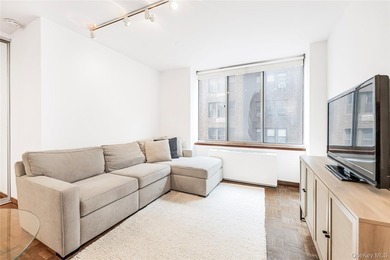 Bright, South-Facing Junior One-Bedroom in Prime Sutton Place - photo 13