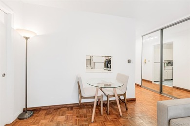 Bright, South-Facing Junior One-Bedroom in Prime Sutton Place - photo 14