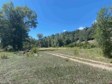 Juli Morelock, Galles Properties, C:,,: 344.6 acres in Downtown - photo 15