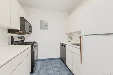 Bright, South-Facing Junior One-Bedroom in Prime Sutton Place - photo 15