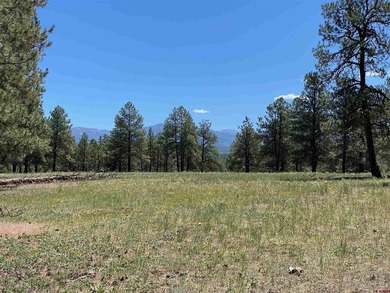 Juli Morelock, Galles Properties, C:,,: 344.6 acres in Downtown - photo 16