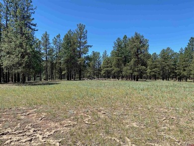 Juli Morelock, Galles Properties, C:,,: 344.6 acres in Downtown - photo 17
