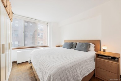 Bright, South-Facing Junior One-Bedroom in Prime Sutton Place - photo 19