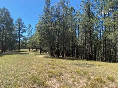 Juli Morelock, Galles Properties, C:,,: 344.6 acres in Downtown - photo 20
