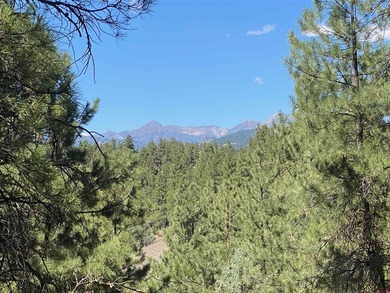 Juli Morelock, Galles Properties, C:,,: 344.6 acres in Downtown - photo 21