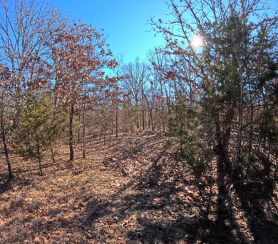 (private lake, pond, creek) Acreage For Sale in Lebanon Missouri