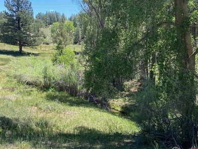 Juli Morelock, Galles Properties, C:,,: 344.6 acres in Downtown - photo 23