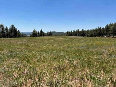 Juli Morelock, Galles Properties, C:,,: 344.6 acres in Downtown - photo 24
